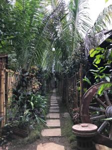 a pathway through a garden with palm trees at Ingawale farmhouse (agro tourism) in Satara