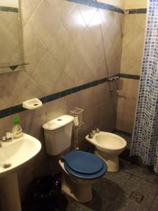 uma casa de banho com um WC e um lavatório em IAUE EL HOGAR, una habitacion cocina,baño, estacionamiento compartido y patio em Luján de Cuyo