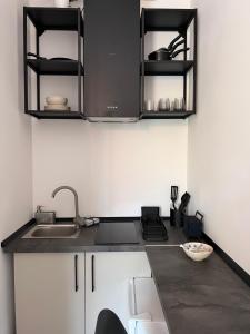 a kitchen with a sink and a counter top at Tinutul Luanei Village in Bozioru