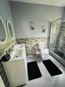 a bathroom with a sink and a toilet and a shower at Kingston Vacation Home Two Bedroom in Kingston +11 photos