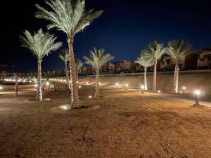 eine Gruppe von Palmen in der Nacht mit Lichtern in der Unterkunft Mountain View 1 /Ain El Sokhna in Ain Suchna