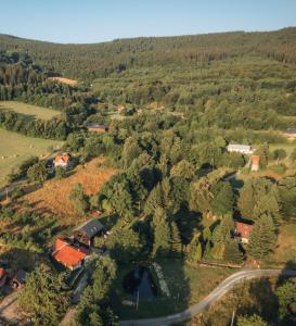 an aerial view of a house in the middle of a forest at RESZTÓWKA in Polanica-Zdrój