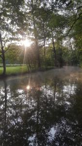 un reflet du soleil dans un étang dans l'établissement Ferienwohnung Spreewaldglück, à Burg