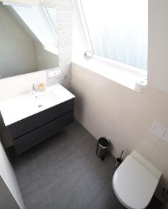 een badkamer met een wastafel, een toilet en een raam bij Ferienhäuser Antje Maier in Eiche