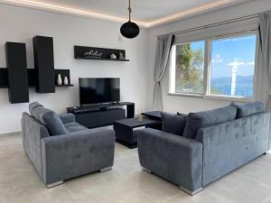 sala de estar con 2 sofás y TV de pantalla plana en RIZARIA sea view house, en Spartýlas