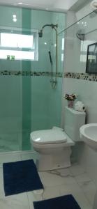 een badkamer met een toilet, een douche en een wastafel bij Pousada Ninho da Águia in Campos do Jordão
