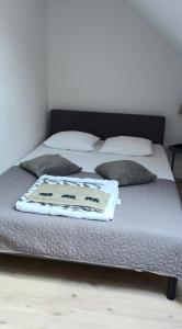 a bed with a blanket and pillows on it at OW Jantar Wicie in Wicie