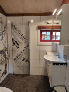 a bathroom with a shower and a sink at Halland Camping in Berkåk