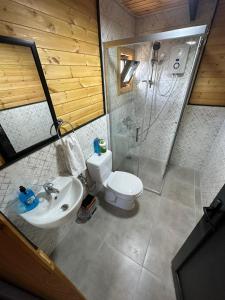 a bathroom with a shower and a sink and a toilet at Lake House Kayacık in Dalaman