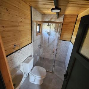 a bathroom with a shower and a toilet and a sink at Lake House Kayacık in Dalaman