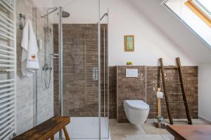 a bathroom with a shower and a toilet at Mandilla in Köveskál