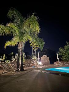 オストゥーニにあるI Love Trullo - Country Boutique Apartments - Villa Laura Ostuniの夜のプールの横のヤシの木