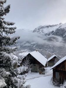 una cabaña en las montañas cubierta de nieve en Appartement chalet 4 pers 45m2 Puy Saint Vincent en Puy-Saint-Vincent