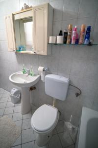 uma casa de banho com um WC, um lavatório e um espelho. em Lalić rooms em Sarajevo