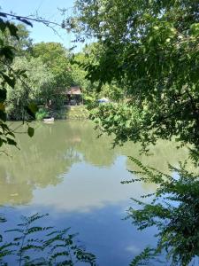 a view of a body of water with trees at Apartman Lola Ruža in Zrenjanin