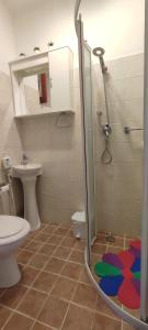 a bathroom with a shower and a toilet at Tana di Zia Nature, Yourself, Love in Viggianello