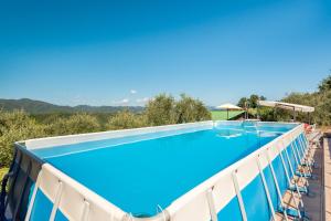 uma piscina numa villa com vista em Casa vacanze Ester em Polverara