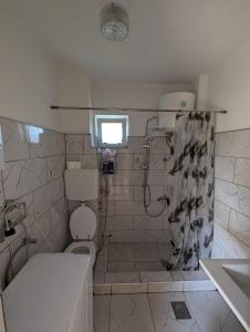a bathroom with a shower with a toilet and a sink at Holiday Home DMD Sarajevo in Sarajevo +27 photos