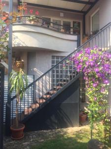 uma casa com uma escada com flores em Artament Prishtina em Pristina