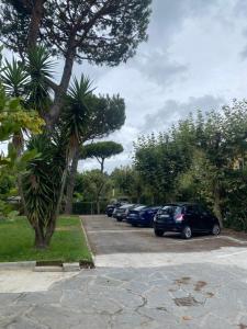 a row of cars parked in a parking lot at RE Versiliana Junior-House in Marina di Pietrasanta