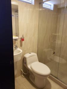 een badkamer met een toilet, een wastafel en een douche bij Hotel Casa Galeras in Pasto