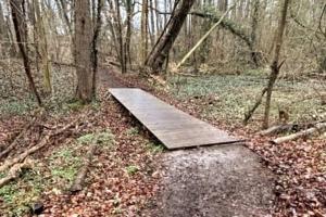a wooden boardwalk in the middle of a forest at Jules Heim mit Herz in Hanshagen