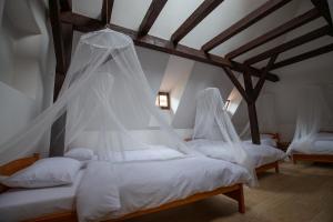 布拉格的住宿－Women's Only Hostel - Female Only，一间卧室配有两张带蚊帐的床