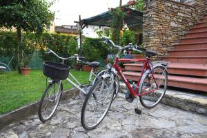 Jízda na kole v ubytování Lucca Summer Festival Kododo in Tuscany nebo okolí