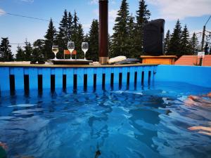 a swimming pool with wine glasses in the water at Camere de închiriat Centru Ski in Ranca