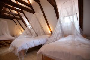 two beds in a room with mosquito nets at Women's Only Hostel - Female Only in Prague