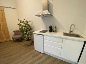 Køkken eller tekøkken på apartamentos Mercado de Triana + 21 billeder