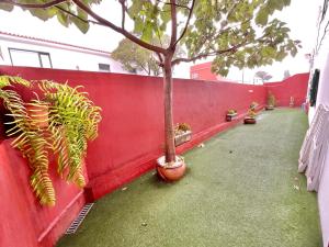 una pared roja con una hilera de macetas en Big&Confort ''con terraza y jardín'', en Tegueste