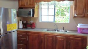 eine Küche mit einem Kühlschrank aus Edelstahl und einer Spüle in der Unterkunft Mango tree Oasis in Treasure Beach