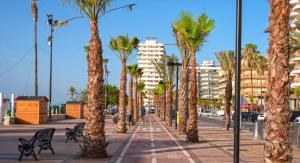 a row of palm trees on a sidewalk with buildings at Angelica's Home Fuengirola in Fuengirola