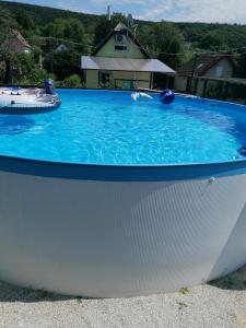 une grande piscine d'eau bleue dans un jardin dans l'établissement Enjoy the silence, à Rezi