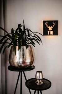 Fotografie z fotogalerie ubytování Hotel Schützenhof ve Flachau