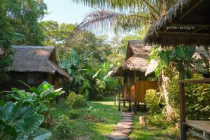 a path leading to two huts in a garden at Ecolucerna Lodge Tambopata in Puerto Maldonado