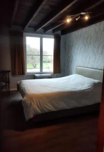 a bedroom with a large bed and a window at Holidayhouse Balie in Bruges