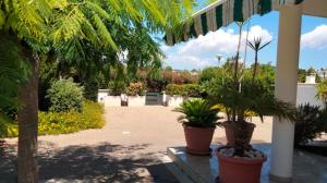 Κήπος έξω από το Romano Holiday 3