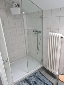 a shower with a glass door in a bathroom at appartement 3 pce 