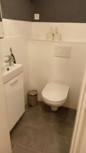 格拉茲的住宿－Retrowohnung im Herzen von Graz，白色的浴室设有卫生间和水槽。