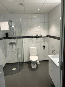 a bathroom with a toilet and a shower and a sink at Sotenäs Golfhotell in Hunnebostrand