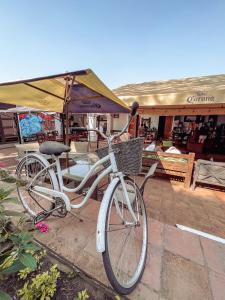 Una bicicleta con una cesta estacionada frente a una tienda en Hostal Antigüeño, en Antigua Guatemala
