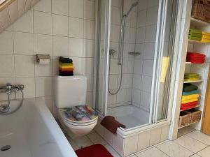 ein Badezimmer mit einer Dusche, einem WC und einer Badewanne in der Unterkunft Hadassa Apartment Simcha in Niederwichtrach