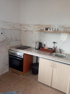 a small kitchen with a stove and a sink at Casa de Laza Apartments in Herceg-Novi