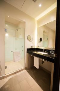 a bathroom with a large sink and a shower at Hotel Centria in Monterrey