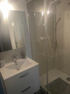 ein Badezimmer mit einem weißen Waschbecken und einer Dusche in der Unterkunft BARREAU in Libourne