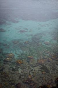雷松斯德赫雷的住宿－TI PAYOT，一大片水,有岩石和珊瑚礁