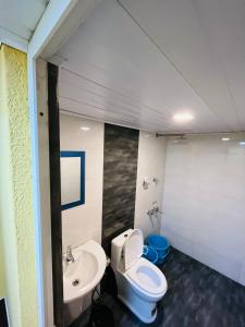 a bathroom with a toilet and a sink at Fab Valley Homestay in Munnar