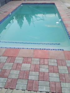 una piscina con pavimento piastrellato e una piscina di Cheapest Guest House in Klerksdorp a Klerksdorp Altre 15 foto